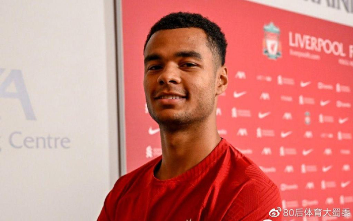 他们的阵容 他们的阵容