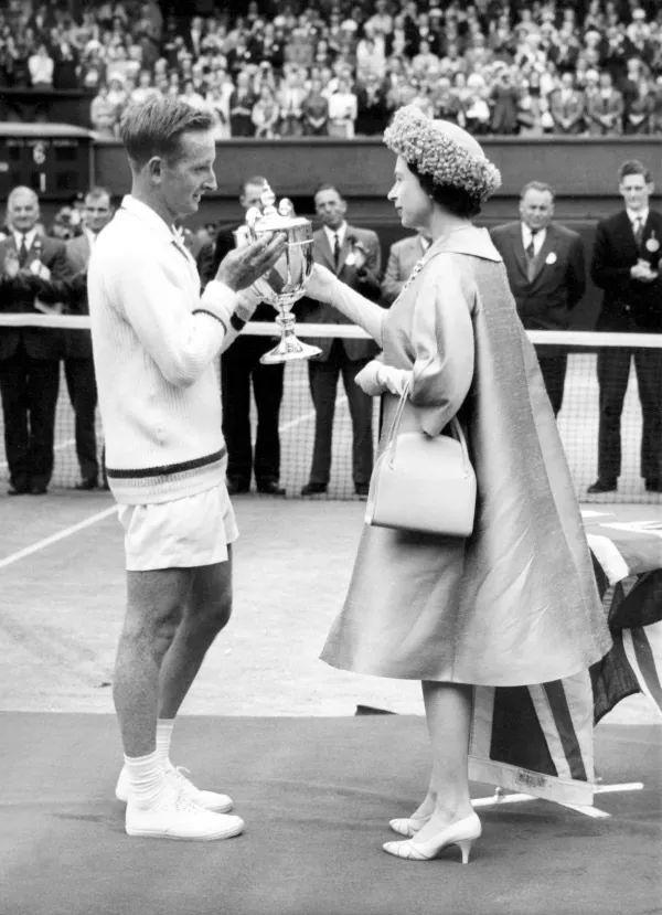 在联盟中的 在联盟中的