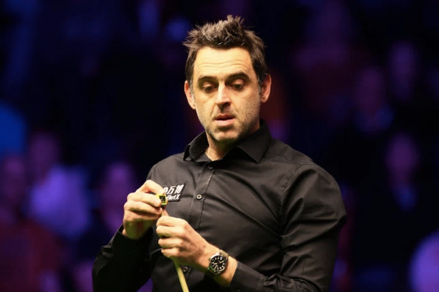 她不仅代表 她不仅代表